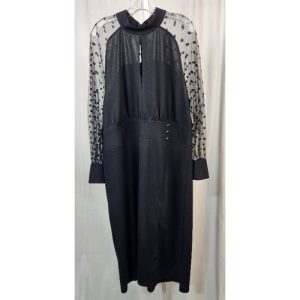 Black Sheer Sleeve Dress